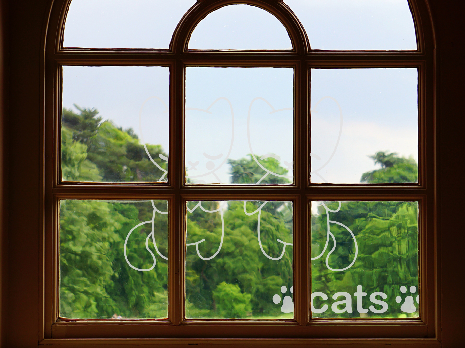Dekorfolie | Fensteraufkleber Zwei Katzen | Zwei Katzen Optik